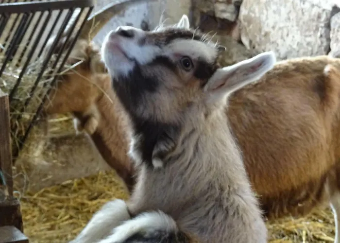 Urselhof Апартаменты Хермсдорф