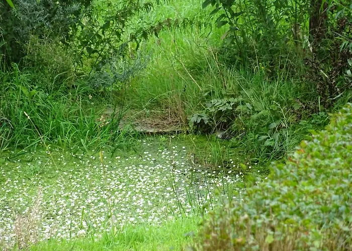 Urselhof * Хермсдорф